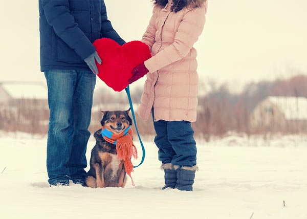 DaySmart  It's a Date! 7 Ways to Celebrate With Your Doggy Valentine