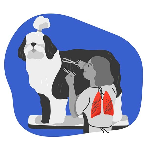 Featured image for Groomers Lung: 6 Tips to Help Groomers Stay Safe and Healthy post