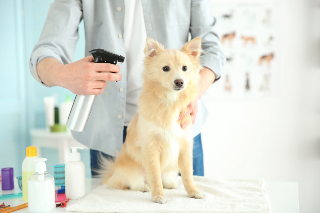 Small, blond dog being pampered at a pet grooming spa