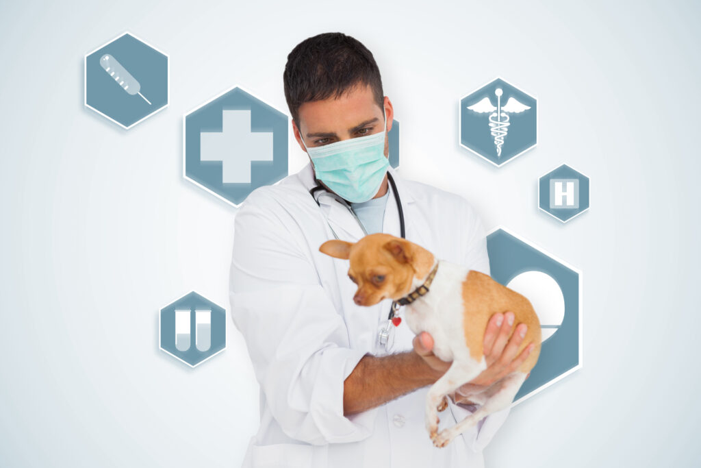websites for veterinarians